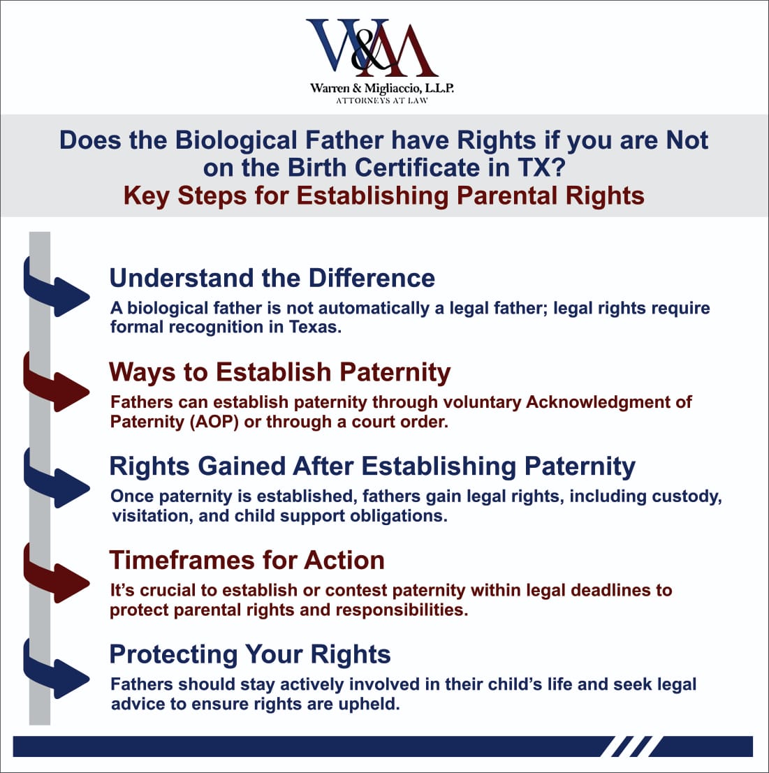 Infographic titled "Does the biological father have rights if you are not on the birth certificate in TX?" Outlining key steps to establish paternity and gain legal rights for fathers.