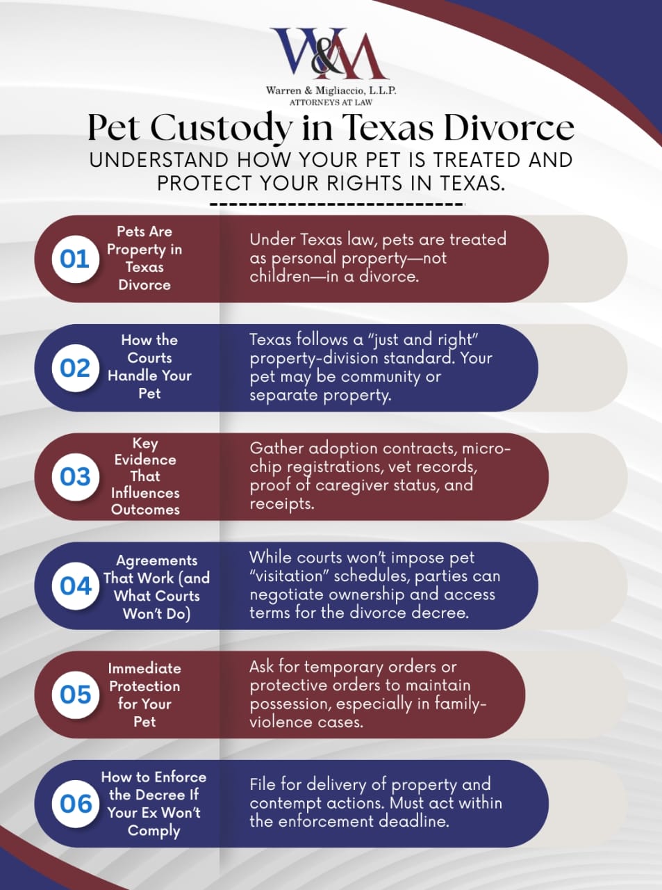 Infographic titled “Pet Custody in Texas Divorce,” explaining pet-property rules, how courts treat pets, what evidence matters, how to craft agreements, immediate protective steps, and enforcement options in North Texas.