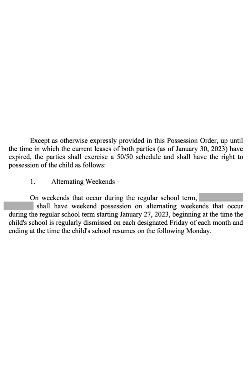 A black and white document with text on it, comparing Primary Custody vs Joint Custody.