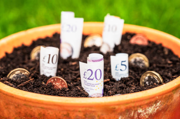 A terracotta pot filled with rich soil, containing rolled paper currency and coins placed upright—an ironic reminder of how much debt do you need to manage before considering filing Chapter 7.