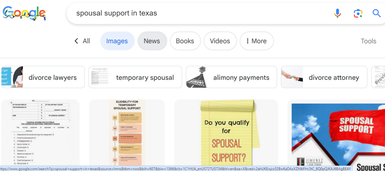 A screen shot of a google search for support in texas.