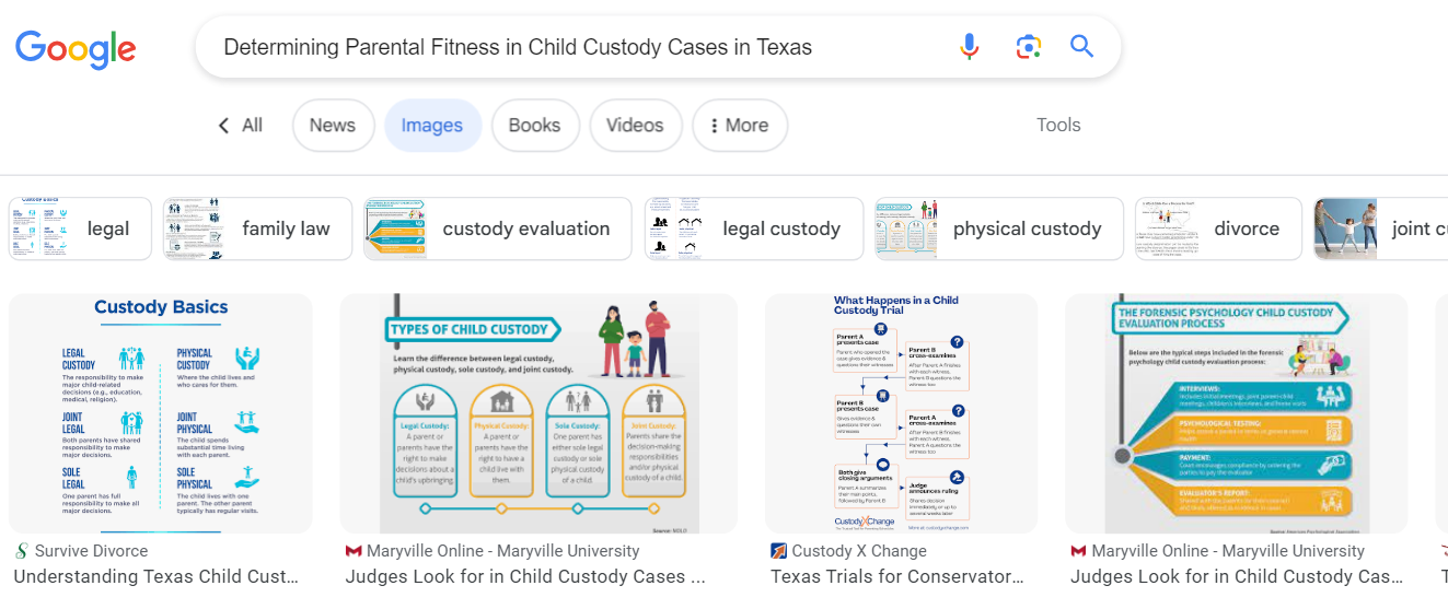 A screen shot of a google page showing different types of infographics.
