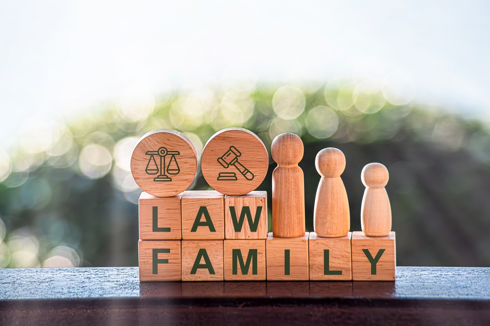 Lawyer Scales Justice - Law Concepts Family Law including youth protection