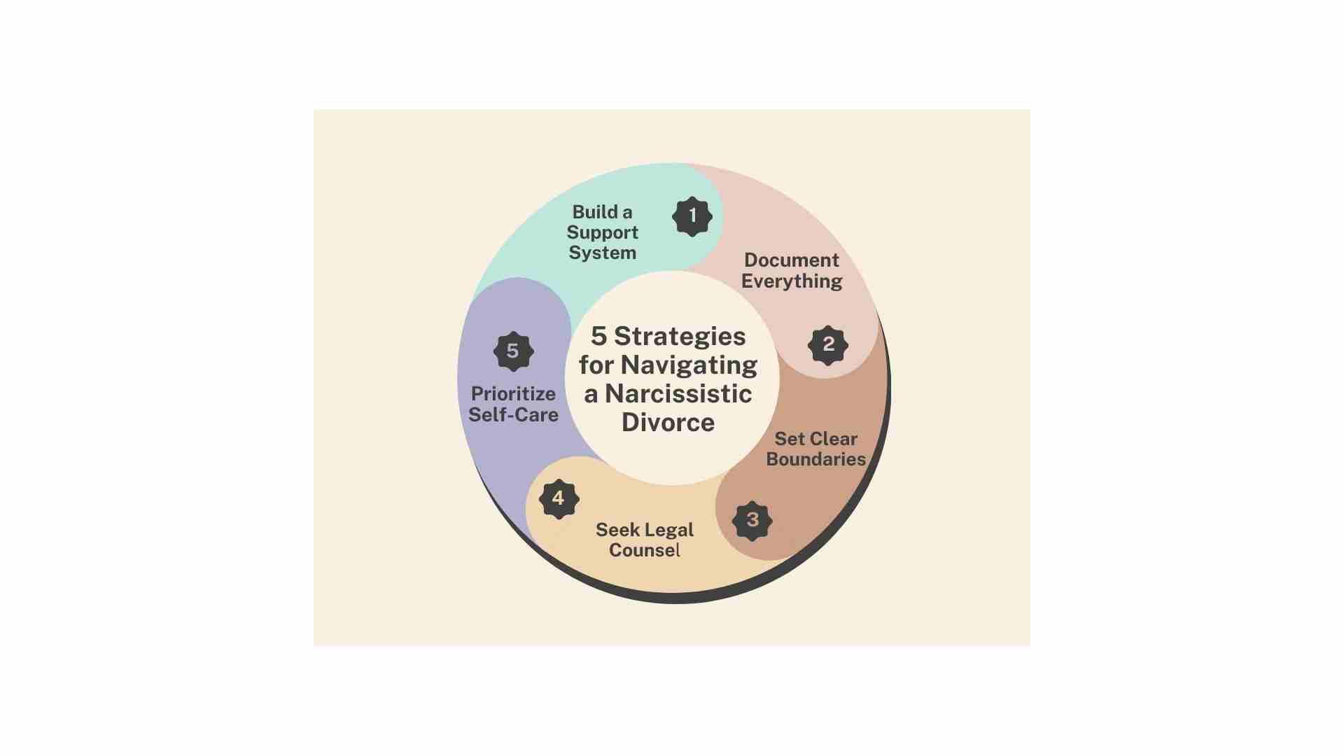 Circular infographic titled "5 Strategies for Navigating a Narcissistic Divorce," highlighting essential steps like documenting everything and setting clear boundaries. These strategies are crucial stages of divorce, especially when divorcing a narcissist.
